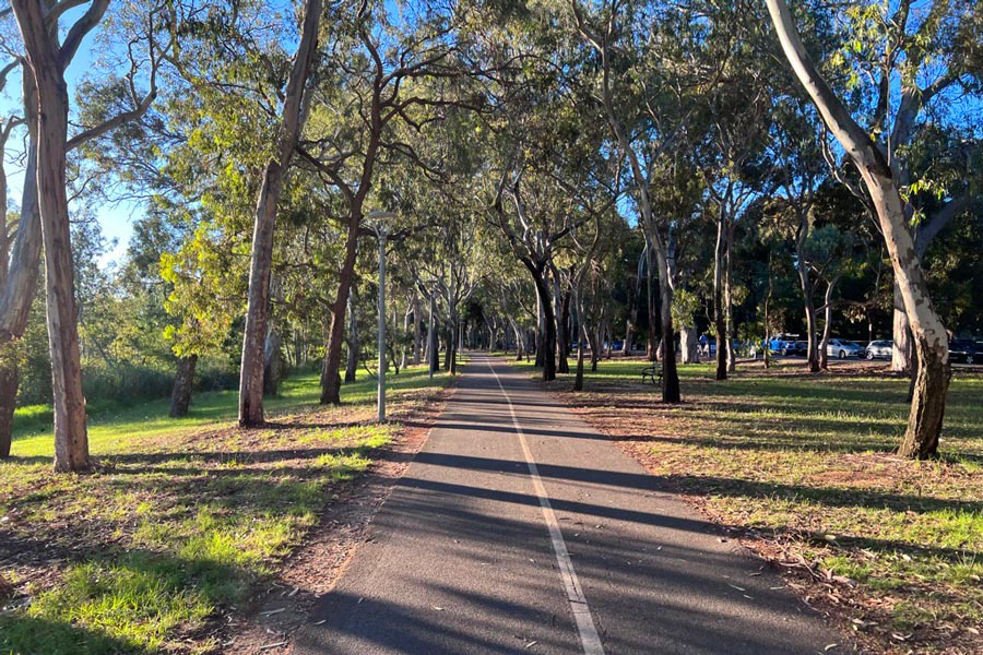 Torrens Park Run